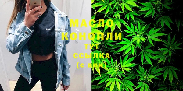 гашик Горняк