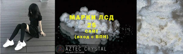 гашик Горняк