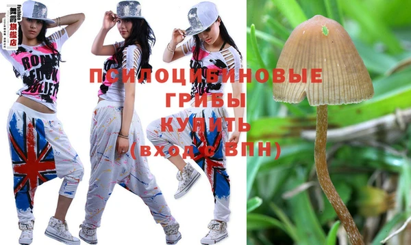 крисы Гусь-Хрустальный