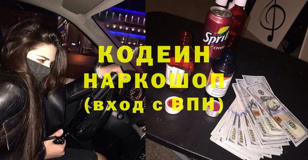 гашик Горняк