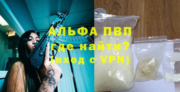 гашик Горняк