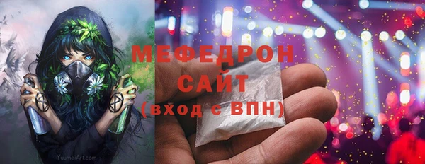 гашик Горняк